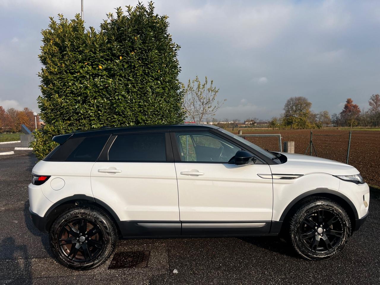 Land Rover Range Evoque 2.2 4X4 TD4 5p. Pure Tech Pack Launch Edition