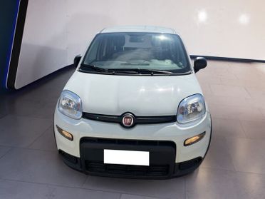FIAT Panda My23 1.0 70cv Hybrid Panda