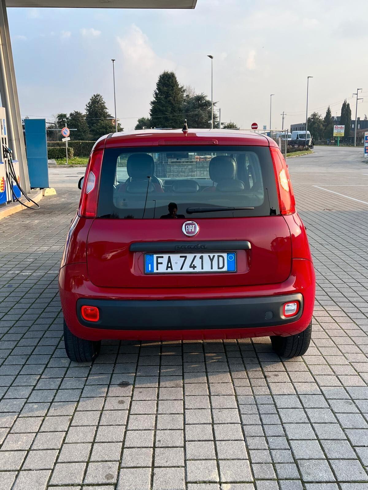 Fiat Panda Cinghia fatta