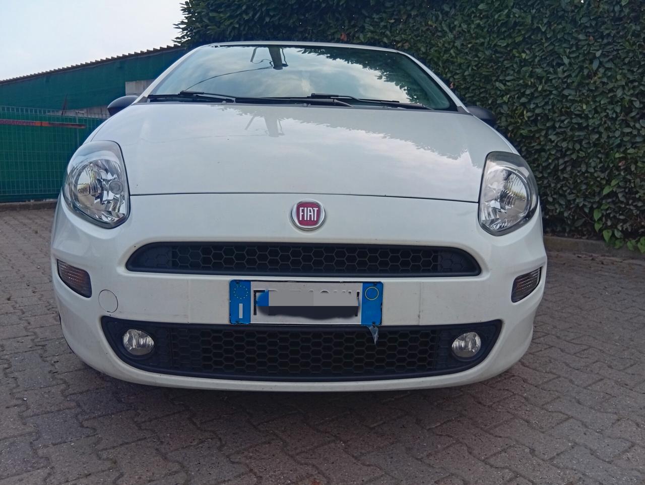 Fiat Punto 1.4 2016 5 porte Street gpl