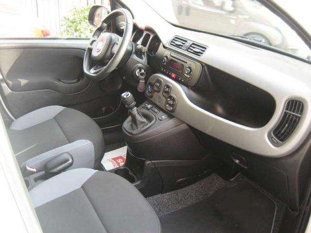 FIAT New Panda 1.2 PANDAZZURRI GPL