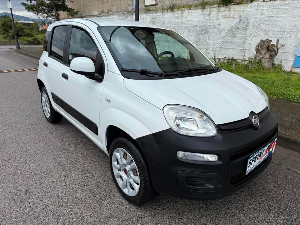 Fiat Panda 4x4 autocarro 2 posti