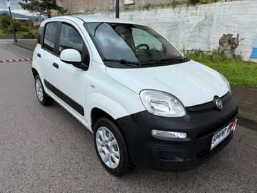 Fiat Panda 4x4 autocarro 2 posti