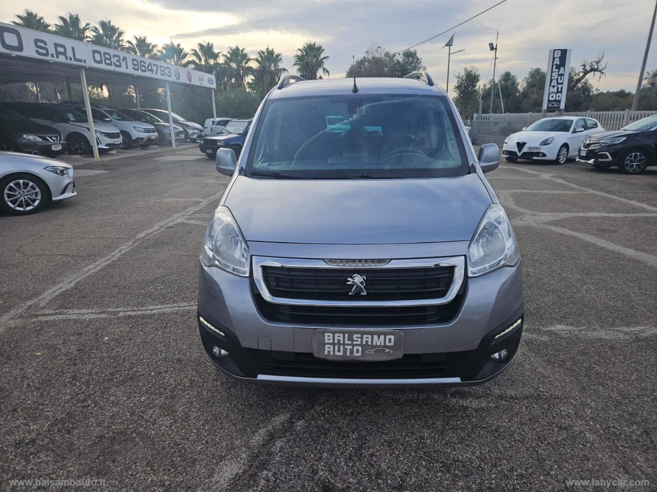 Partner Tepee BlueHDi 100 N1