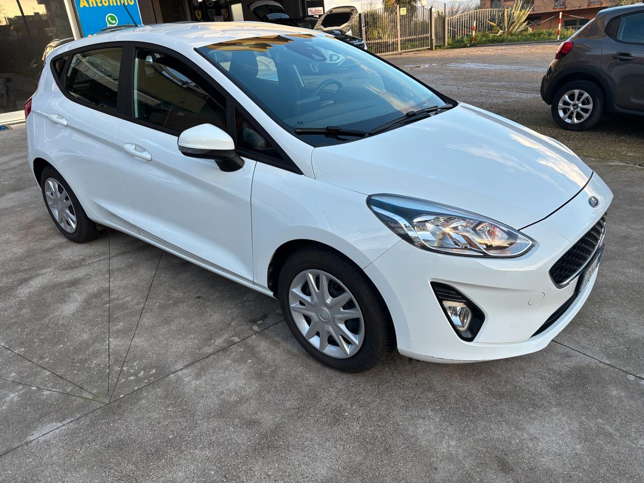 Ford Fiesta 1.5 EcoBlue 5 porte Business- 12/2019