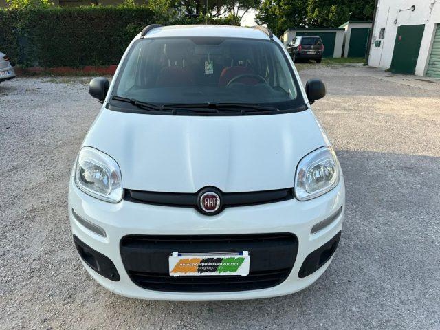 FIAT Panda OK NEO PAT. 1.2 Easy
