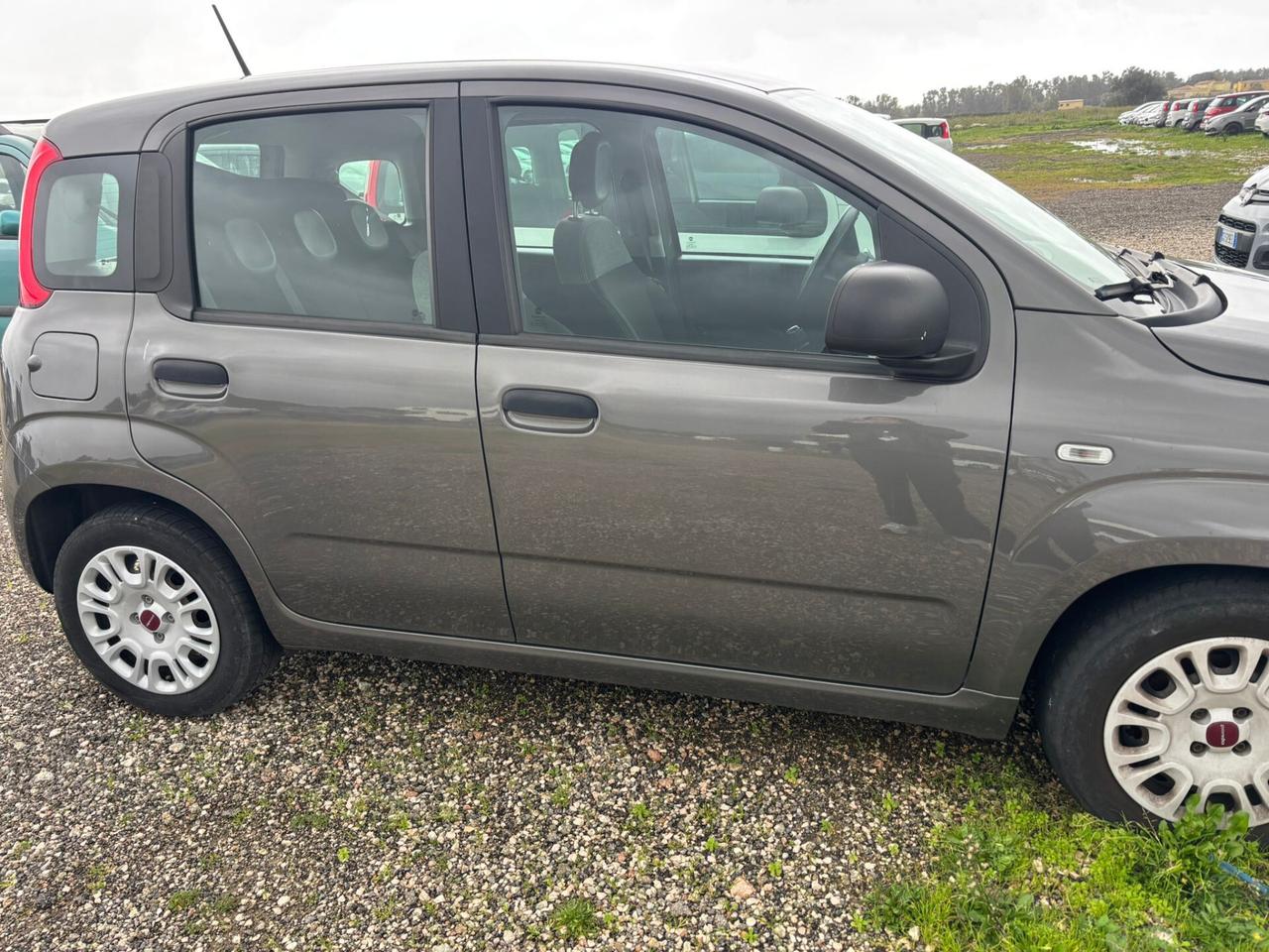 Fiat Panda 1.0 FireFly S&S Hybrid Easy GARANZIA 12 MESI