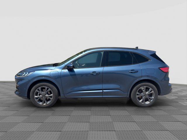 FORD Kuga Kuga 2.5 Plug In Hybrid 225 CV CVT 2WD ST-Line