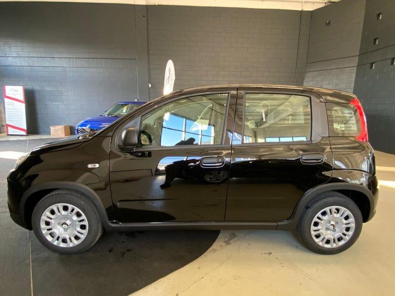 FIAT Panda 1.0 FireFly S&S Hybrid - PROMO SIRONIAUTO+
