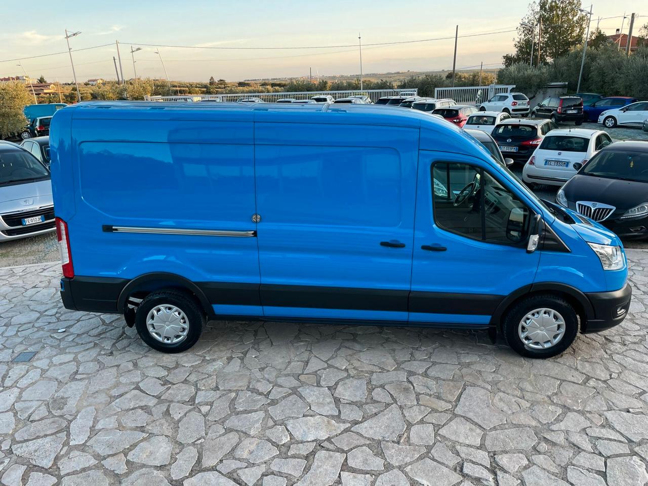 Ford Transit 350 2.0TDCi EcoBlue 185CV PM-TM Furgone Trend