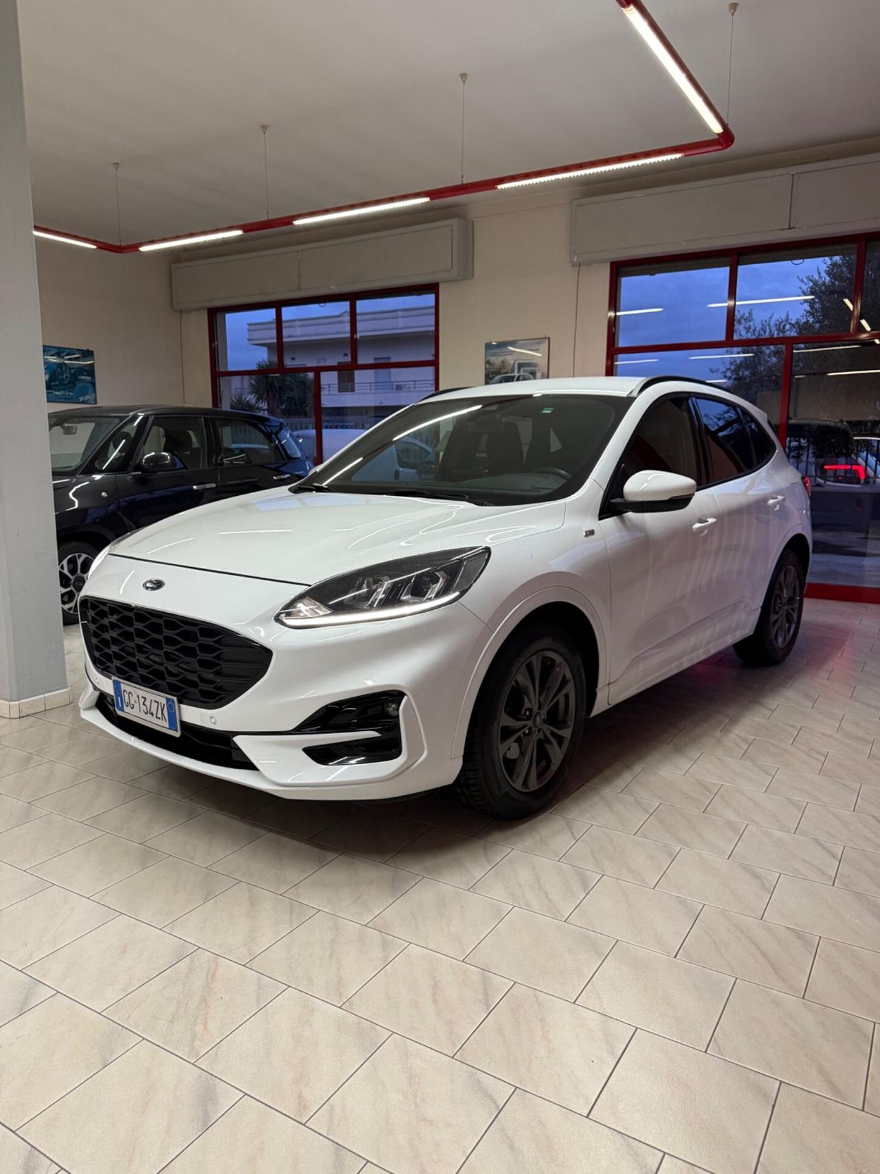 Ford Kuga 1.5 EcoBlue 120 CV aut. 2WD ST-Line X