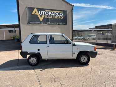 Fiat Panda 900 i.e. cat Young