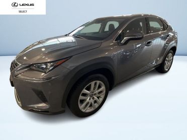 Lexus NX 300H 2.5 BUSINESS 4WD CVT