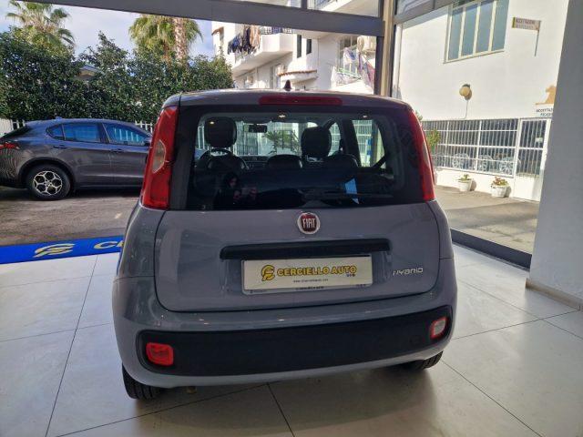 FIAT Panda 1.0 FireFly S&S Hybrid da ?119,00 mensili