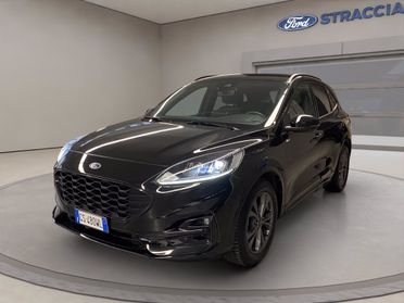 FORD Kuga 2.0 ecoblue ST-Line 2wd 120cv auto del 2024