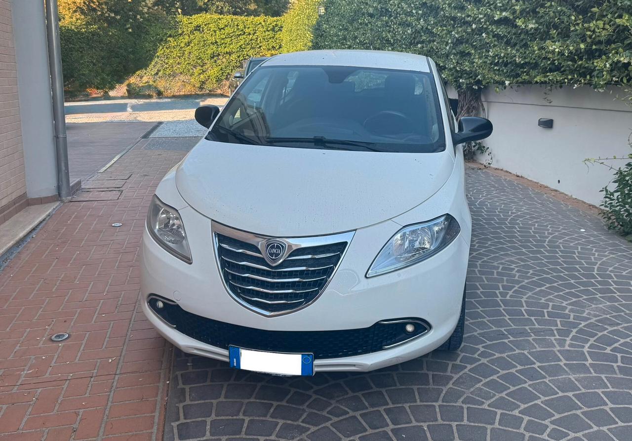 Lancia Ypsilon 1.3 MJT 16V 95 CV 5 porte S&S Gold