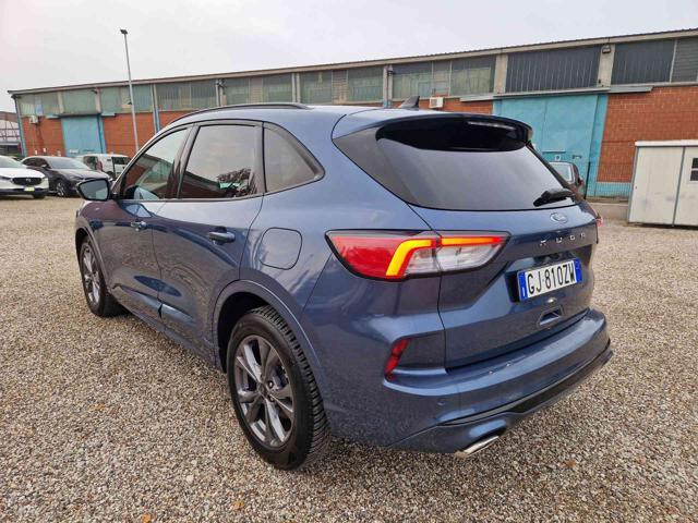 FORD Kuga 1.5 EcoBlue 120 CV aut. 2WD ST-Line X