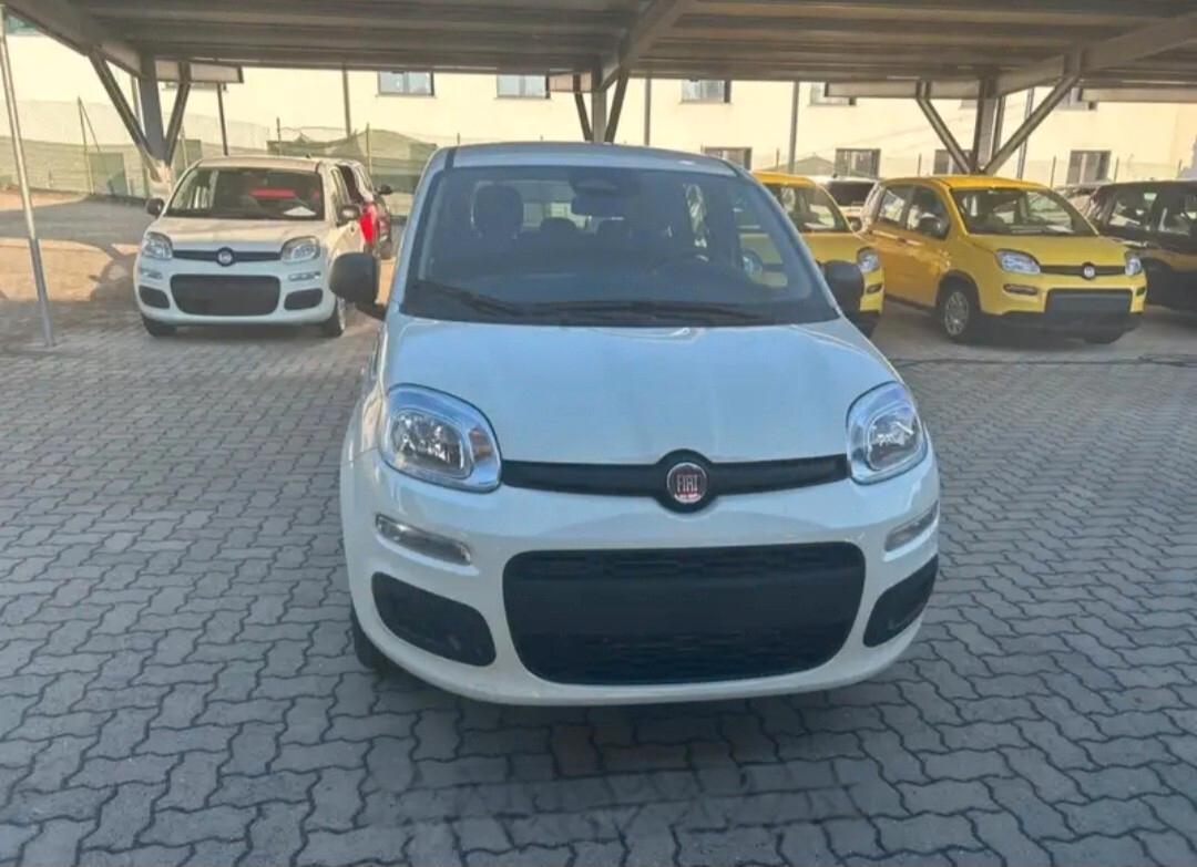 Fiat Panda 1.0 FireFly S&S Hybrid Pandina