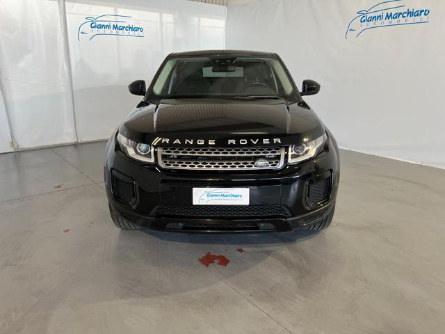 LAND ROVER Range Rover Evoque 2.0 TD4 150 CV 5p. Business Edition Pure