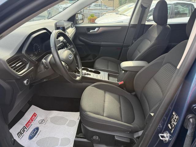FORD Kuga 1.5 EcoBlue 120 CV 2WD AUT. Titanium Business