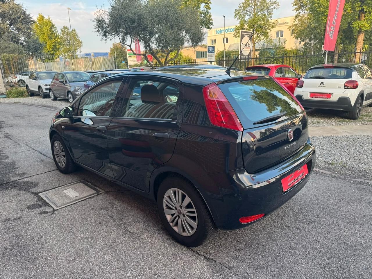 Fiat Punto 1.3 MJT II S&S 95 CV 5 porte Street