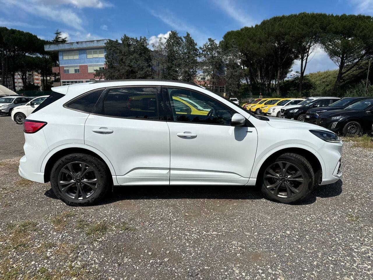 FORD Kuga III 2020 - Kuga 2.0 ecoblue ST-Line 2wd 120cv auto