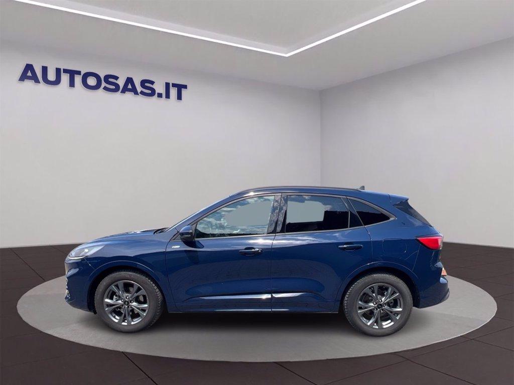 FORD Kuga 2.0 EcoBlue 120 CV aut. 2WD ST-Line del 2024