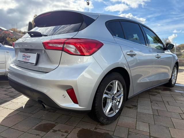 FORD Focus 1.5 EcoBlue 120 CV 5p.