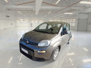 FIAT PANDA 1.0 FIREFLY 70 CV SES HYBRID 5 PORTE BERLINA