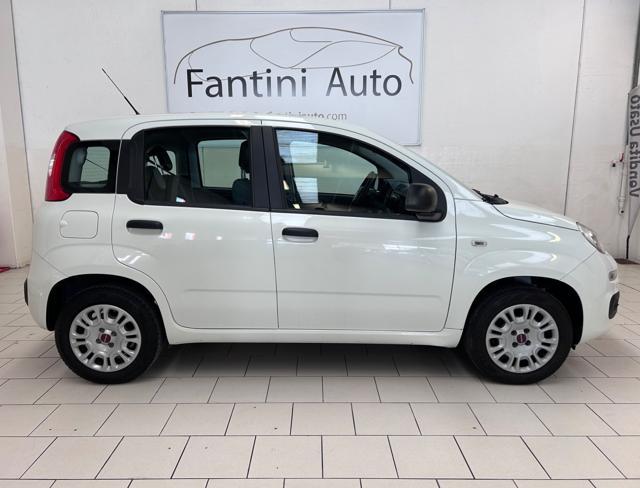 FIAT Panda 1.2 BENZ NEOPATENTATI GARANZIA 12 MESI