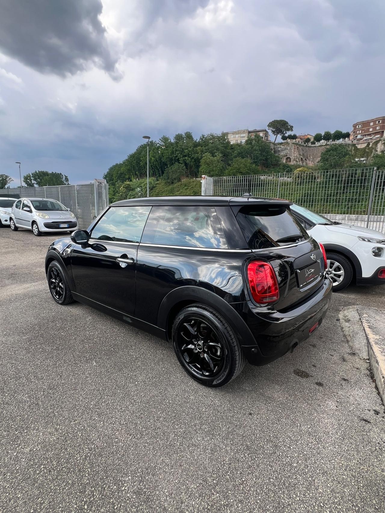 Mini 1.5 One Hype