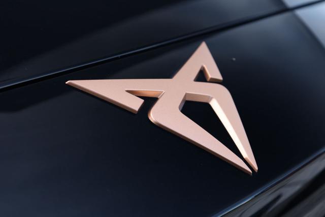 SEAT Leon CUPRA Leon 2.0 TDI 150 CV DSG