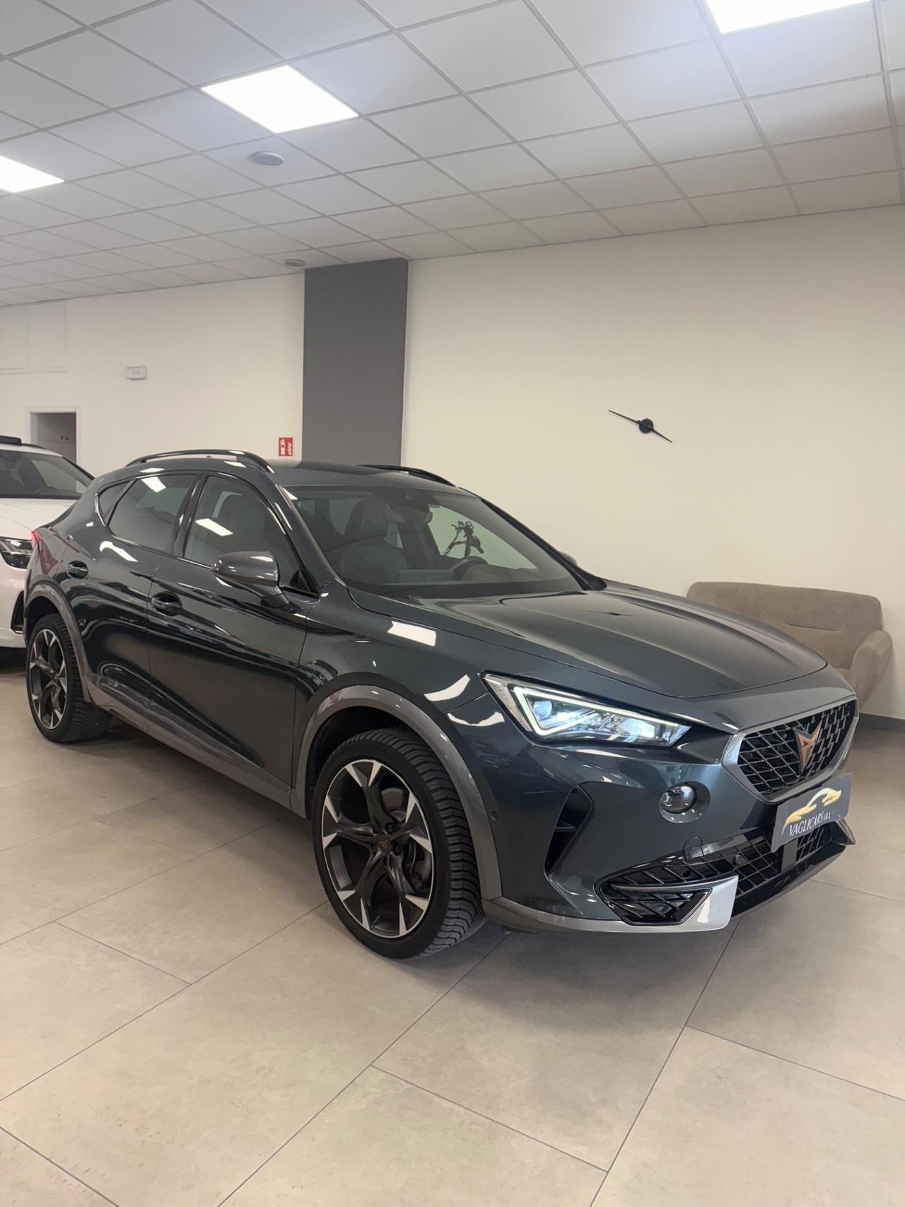 Cupra Formentor 2.0 TDI 4Drive DSG