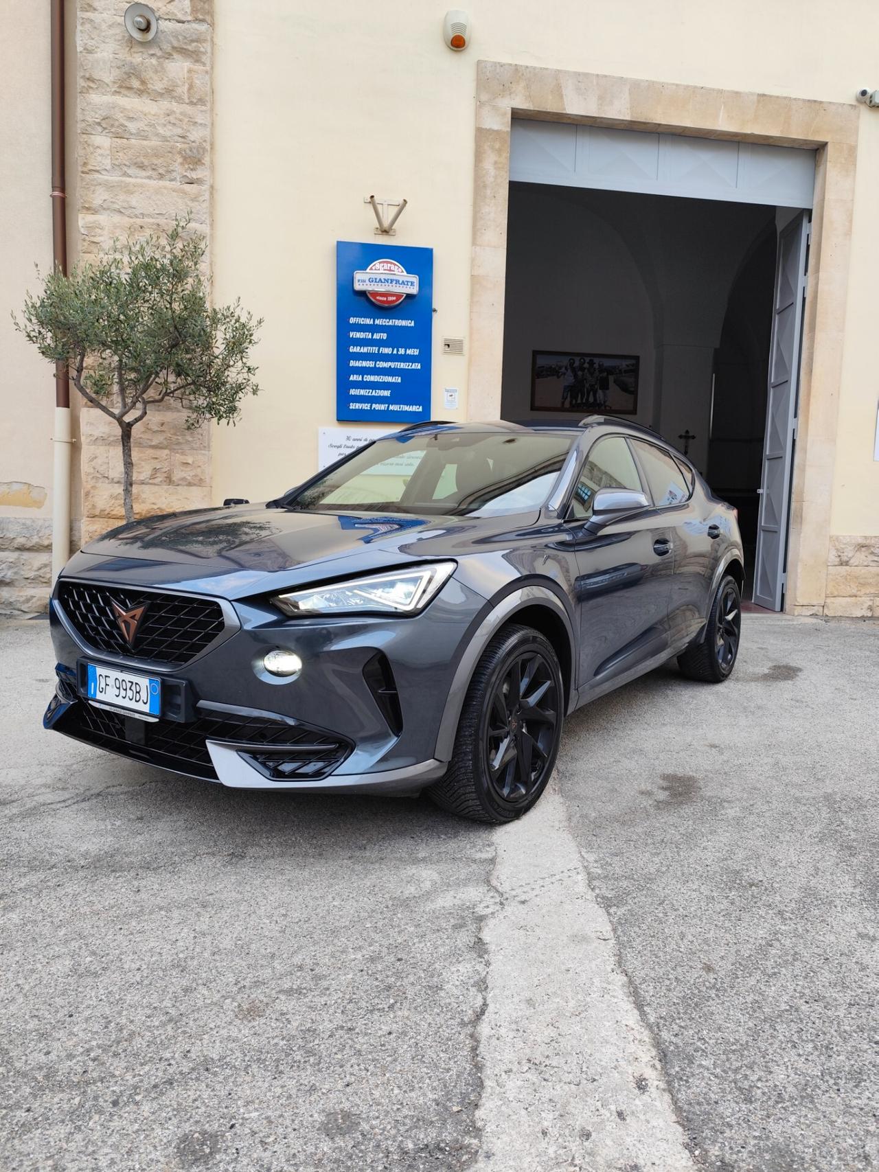 Cupra Formentor 2.0 TDI 4Drive DSG