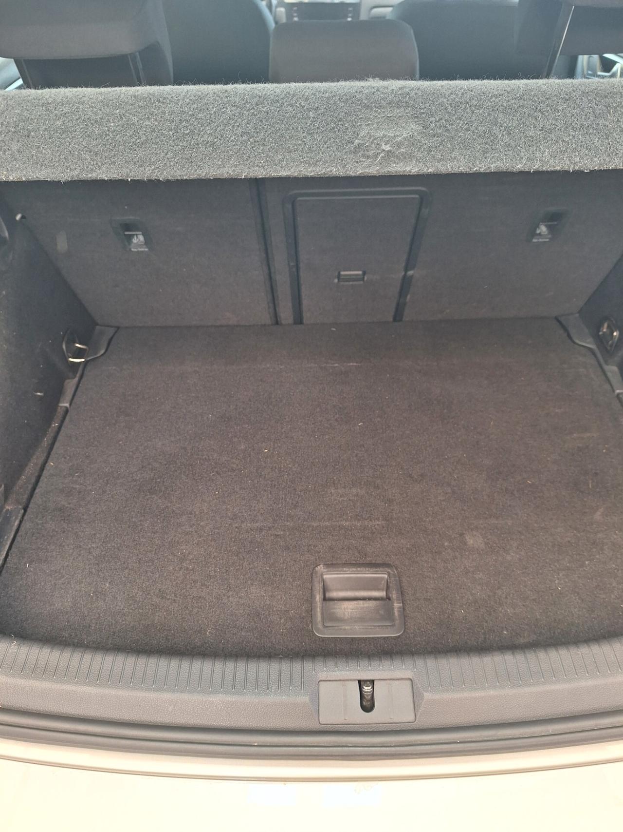 Volkswagen Golf 1.6 TDI 115 CV 10/19