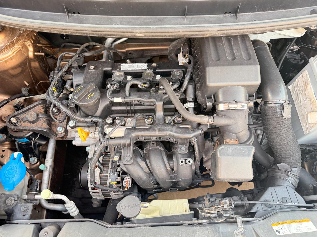 Kia Picanto 1.0 12V 5 porte Easy