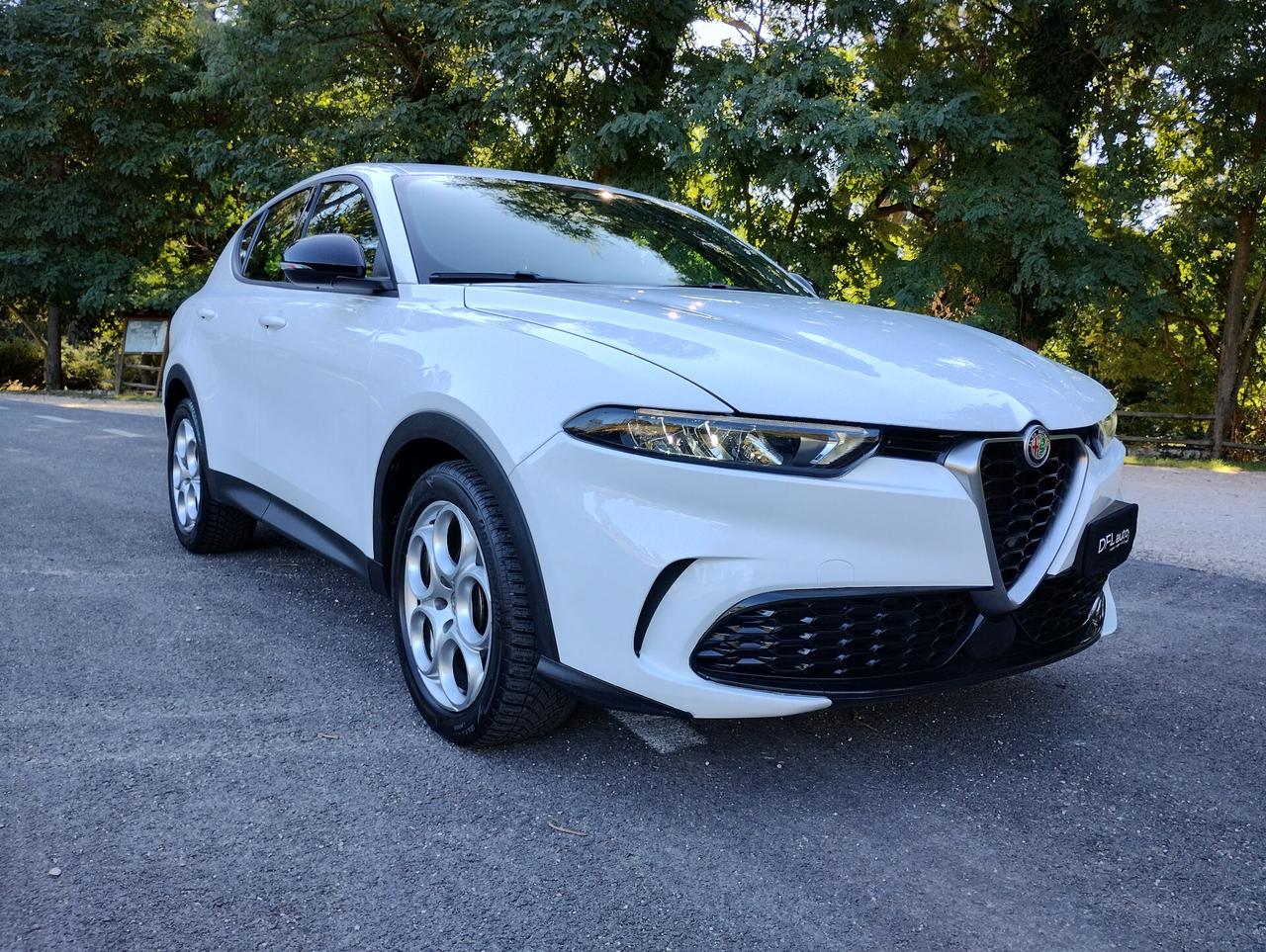 Alfa Romeo Tonale 1.6 diesel 130 CV TCT6 Super