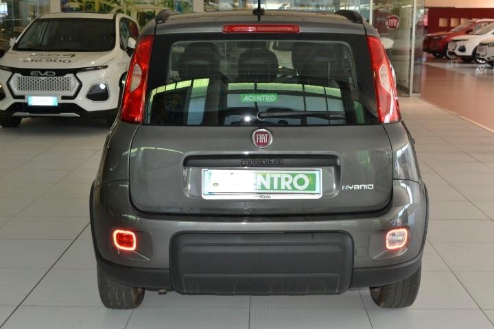 FIAT PANDA - MY21 1.0 70CV HYBRID CITY LIFE