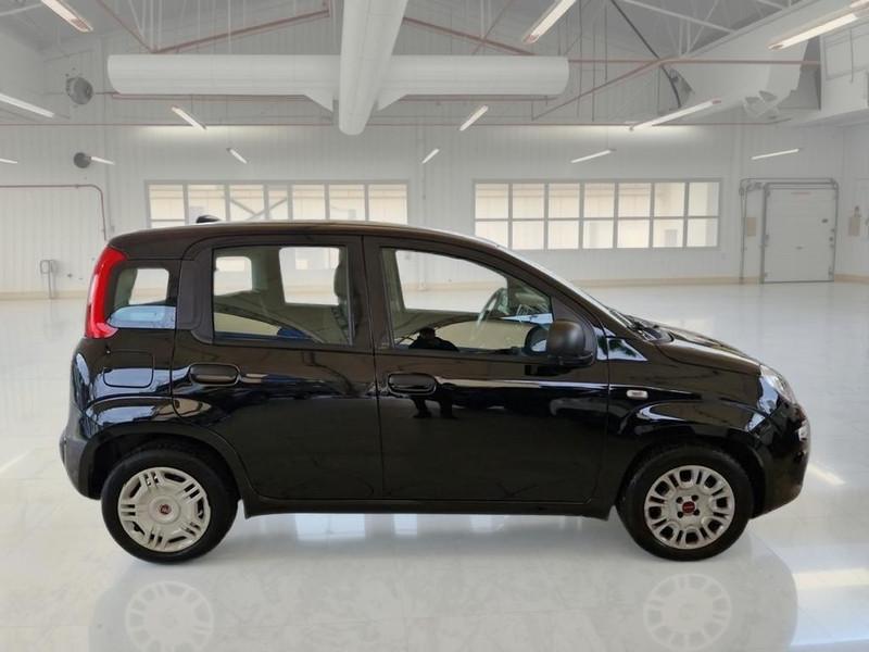 FIAT PANDA 1.0 FIREFLY 70 CV SES HYBRID 5 PORTE BERLINA