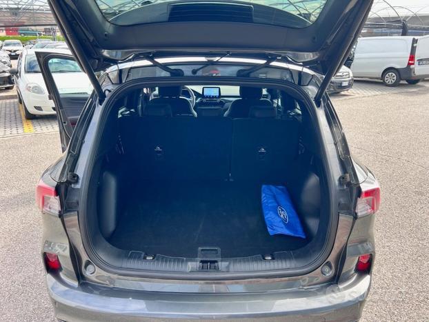 FORD Kuga 2.0 EcoBlue 120 CV aut. 2WD ST-Line