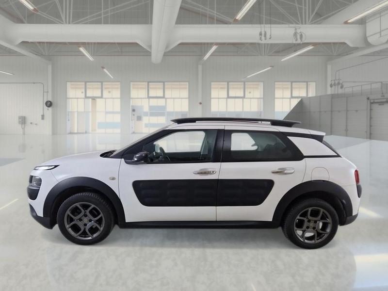 CITROEN C4 CACTUS 1.6 bluehdi Shine 100cv