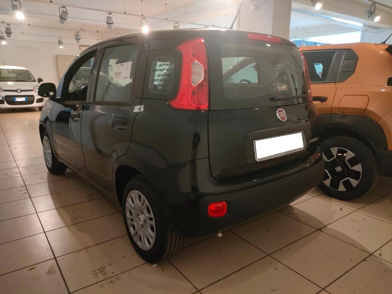 FIAT Pandina Pandina 1.0 FireFly 65 CV Hybrid Pop