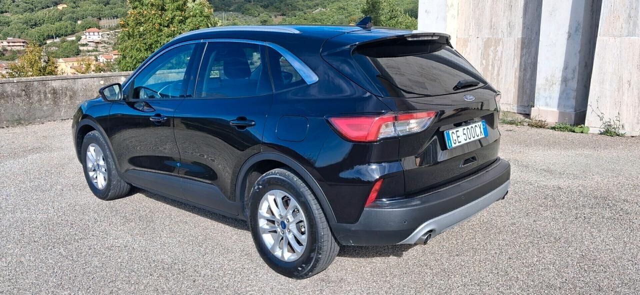 Ford Kuga 1.5 EcoBlue 120 CV 2WD Titanium