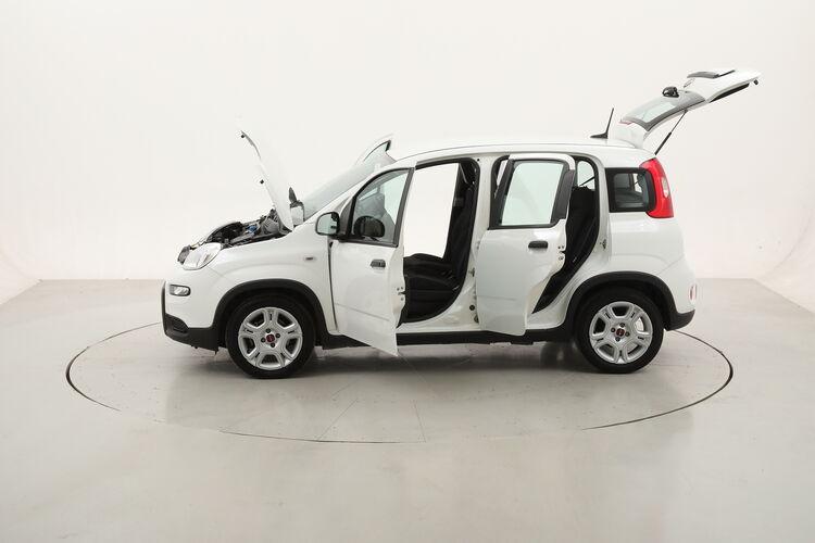 Fiat Panda Hybrid BR259320 1.0 Mild Hybrid 70CV