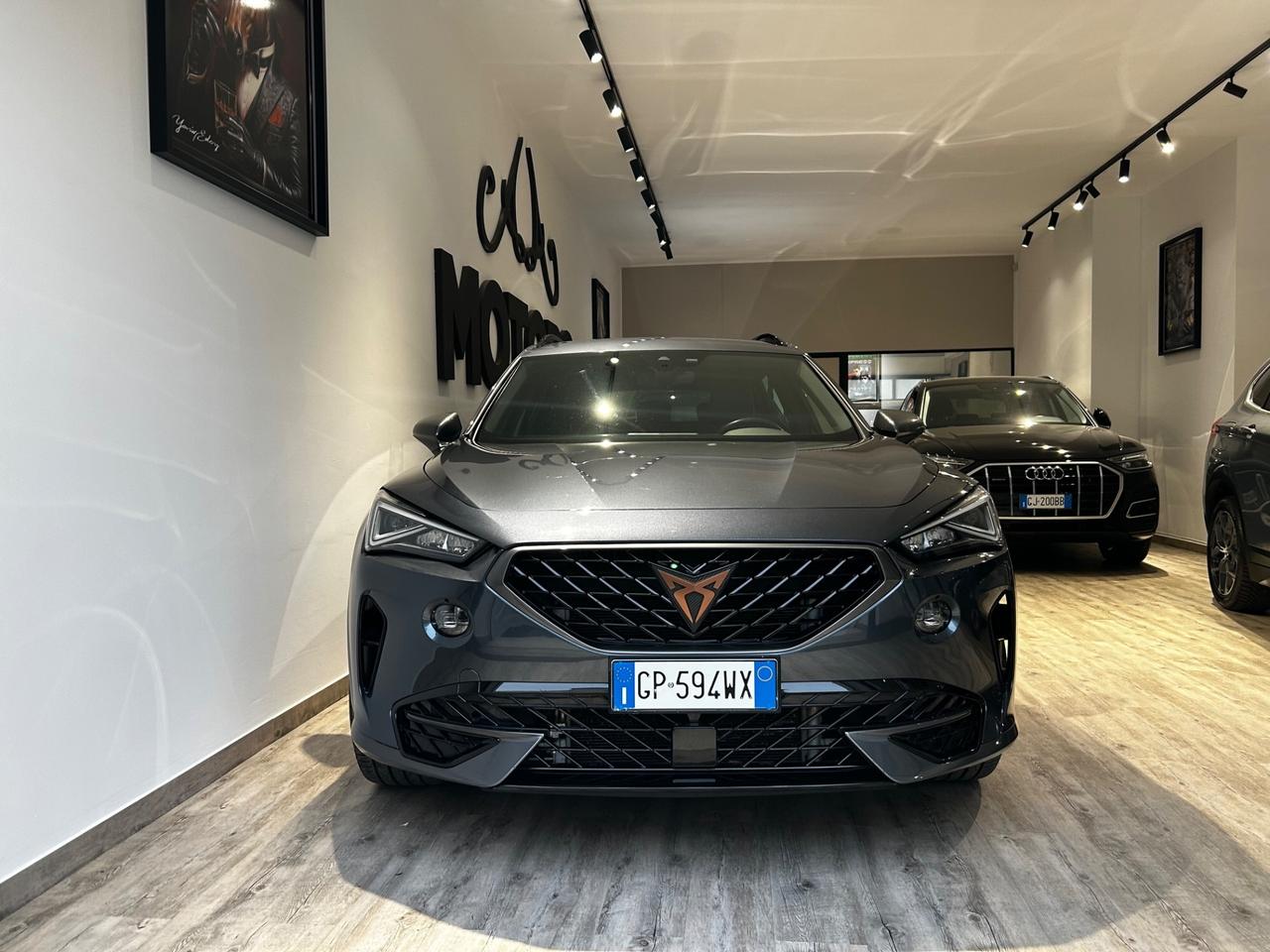 Cupra Formentor 2.0 TDI 4Drive DSG
