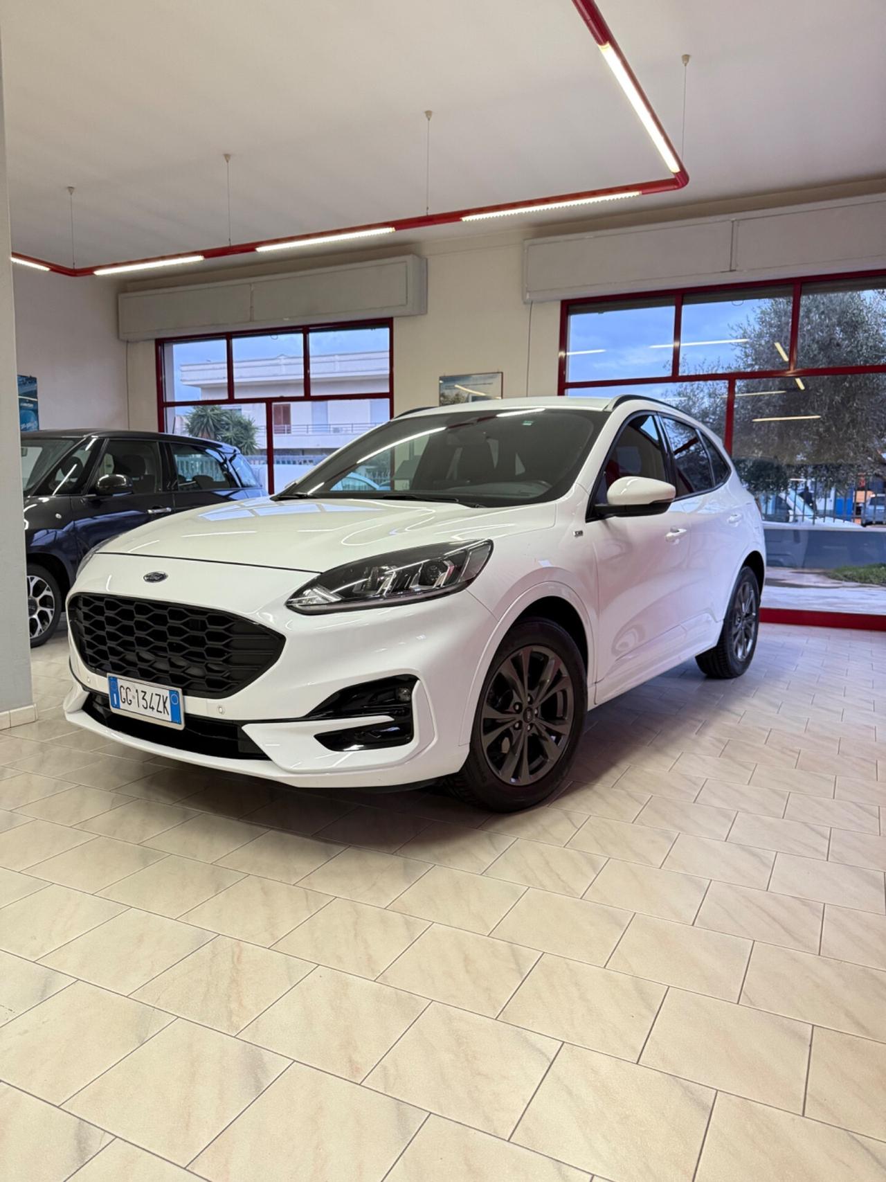 Ford Kuga 1.5 EcoBlue 120 CV aut. 2WD ST-Line X