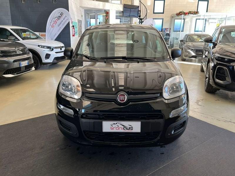 FIAT Panda Panda 1.0 FireFly S&S Hybrid - PROMO SIRONIAUTO+