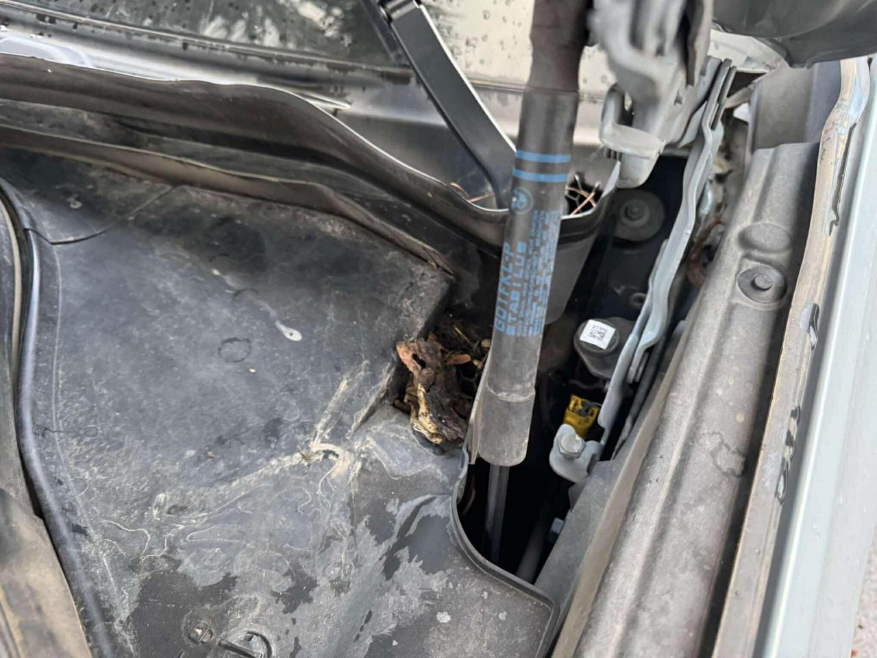 Bmw X4 xDrive20d 48V Msport-2023