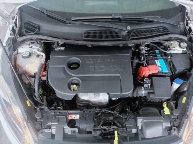 FORD Fiesta 1.5 TDCi 75CV 3 porte Business