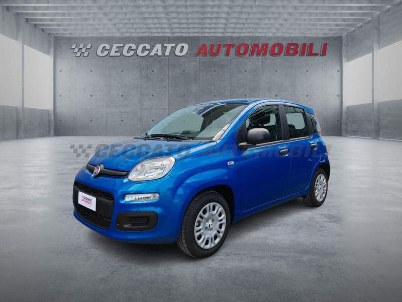 FIAT Panda Panda 1.0 70cv Hybrid Icon